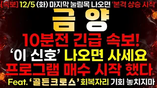 [금양] 12/5 (화) 10분전 긴급 속보! '이 신호' 나오면 사세요! 프로그램 매수 시작 했다!