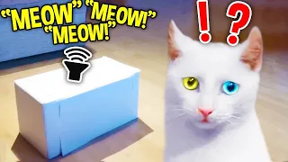 $20,000 Rare Cats React To Meow Box (FUNNY)