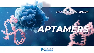 How Does It Work? | Aptamers