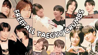 Top 10 Freefall Taegyu Crumbs
