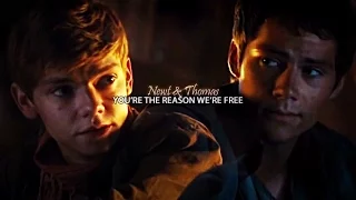 Newt & Thomas | You're the Reason We're Free