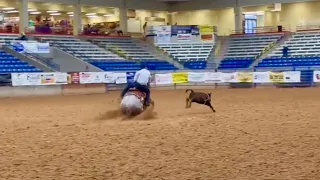 Blane Cox - some tie down roping runs. 2023