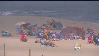 Shark Warnings After Another Shark Spotted On Cape Cod Beach