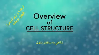 Cell structure _ ساختار سلول های یوکاریوتی و پروکاریوتی با اندامک ها