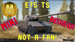 E75 TS Not a Fan Mini Review ll World of Tanks Console - Wot Console