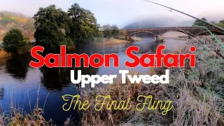 Gonzo Salmon Fishing (pt1)