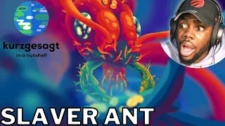 The Most Brutal Ant: The Slaver Ant Polyergus by Kurzgesagt – In a Nutshell REACTION!!!