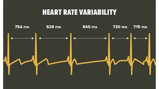 HRV (Heart Rate Variability) on the Apple Watch