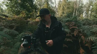 Pilze Fotografieren im Wald - Teil 1