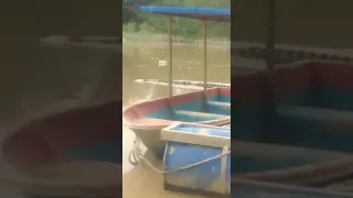 MONSTER CROCODILE ON MALAYSIAN RIVER