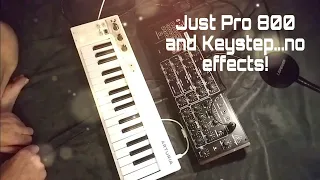 Just #behringer #Pro800 and #arturia #keystep ...no effects.