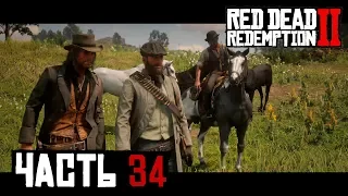 КОНИНА НА УЖИН - прохождение Red Dead Redemption 2 часть 34