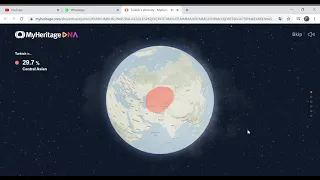 MyHeritage DNA results 🎉1000🎉special Turkish-Record from Adana 🇹🇷  Haplogroup R-M269 (R1b)