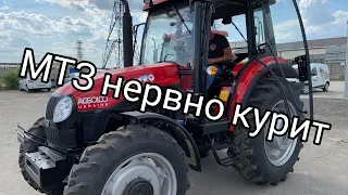 МТЗ нервно курит! Обзор трактора YTO EX 854🚜👍