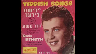 DAVID ESHET  sings ikh bin a fartiker (The game is over now!) with transliteration and translation