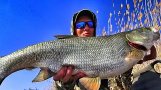 HANDS HURT! THIS IS IMPOSSIBLE TO FORGET AND REPEAT! Fishing in Astrakhan, part 5