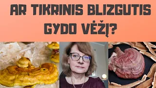 Sveikata | Ar Tikrinis blizgutis gydo onkologiją?