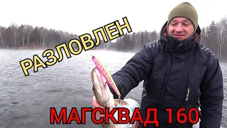 Спиннинг в декабре || Jackall Mag Squad 160SP разловлен!!!!