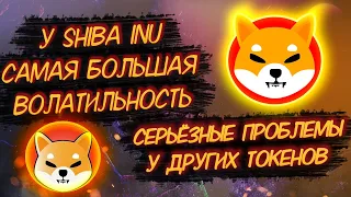 У SHIBA INU САМАЯ БОЛЬШАЯ ВОЛАТИЛЬНОСТЬ, 32% ЗА ДЕНЬ/ШИБА ВЕРНУЛА ПОТЕРИ! У ДРУГИХ ТОКЕНОВ ПРОБЛЕМЫ