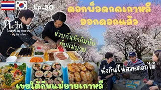 [EP.030]ไปปิกนิกกับครอบครัววันดอกพ็อดกดเกาหลีบาน ได้ดูดอกไม้เป็นครั้งแรก