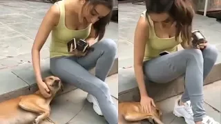 Hot Shraddha Kapoor Fun With Dog