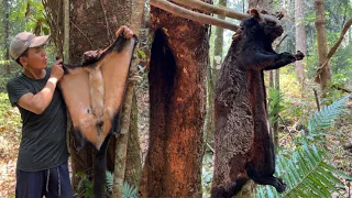 Set the trap to catch big black flying squirrel #squirrel #trap