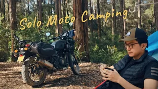SOLO MotoCamping with Royal Enfield Himalayan|Australia Central Coast | Silent Vlog | ASMR