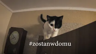 ZOSTAJĘ W DOMU - WARSZAWSKI DRESIK