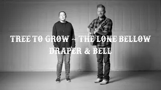 Tree to Grow | The Lone Bellow | Draper & Bell