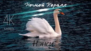 NENSI - Ночной Коралл ( V ) Нэнси 2022 г. 4K