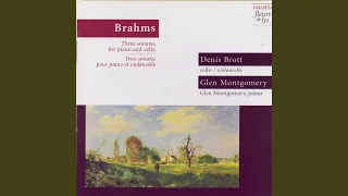 Sonata for Piano and Cello in D major, Op. 78: Vivace Ma Non Troppo (Brahms)