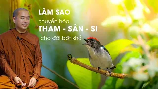 Thầy Minh Niệm - LÀM SAO CHUYỂN HÓA THAM SÂN SI CHO ĐỜI BỚT KHỔ