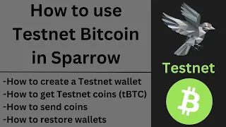 How to use Testnet Bitcoin in Sparrow Wallet