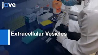 Direct Stochastic Optical Reconstruction Microscopy of Extracellular Vesicles-3D l Protocol Preview