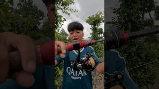 Noob vs Pro vs Hacker  Fishing Rod. Cần Câu Xịn Và Cần Câu Cùi Bắp #anhcachua