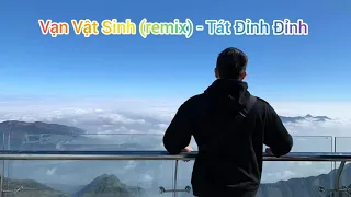 Vạn Vật Sinh (remix) - Tát Đỉnh Đỉnh - 万物生 - 萨顶顶 - DJ版 | Tik Tok: 0:41 Âm nhạc gây nghiện