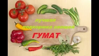 Лучшая подкормка овощей  Гумат