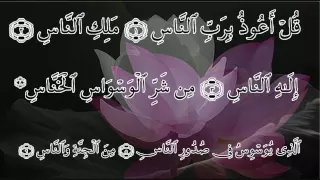 Evil is removed by good - Four Qul Shareef  - Shiekh Saad Al Ghamdi  - surah 109 112 113 114