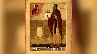 Преподобный Антоний Римлянин. Православный календарь 16 августа 2022