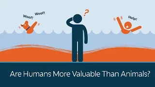 Are Humans More Valuable Than Animals? | 5 Minute Video