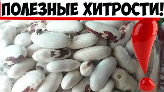 Фасоль храню в обычном бумажном ящике, просто положив в него... Ни один жучок не заведется!