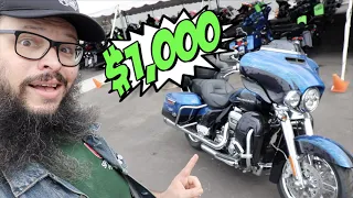 I found the CHEAPEST motorcycle at the Harley Davidson dealership