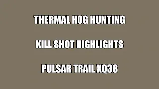 Thermal Hog Hunting Kill Shot Highlights Pulsar Trail XQ38