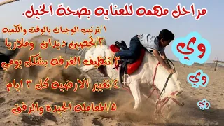 ( تعثر البوني وسعد)🐎😨||طريقة تعليف الخيل الصحيحه☘️