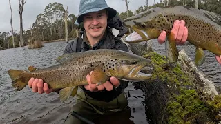 Trout Fishing the Swamp!! | Trout Fishing Tasmanian Rivers and Lagoons