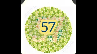 Color blind test|Ishihara test|part 01|Skill test|south Korea