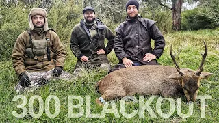HOG DEER STAG On First Day of 2022 Season - 300 AAC BLACKOUT