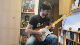 PANDEMIC GUITAR SOLO COVER ACCEPT WOLF HOFFMANN 2010