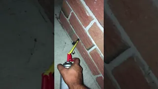 Spray Foaming A Wasp Nest 🐝 🍯