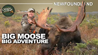 Amazing Newfoundland hunting experience for Big Moose | Canada in the Rough